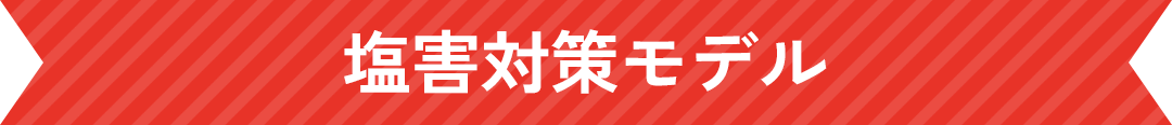 塩害対策モデル